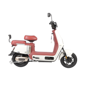 ION Fifteen - Image 7