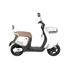 ION Twenty One - Image 8